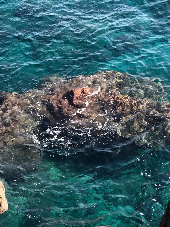 Le Tre Meraviglie A 200 M Dal Mare Katanya Dış mekan fotoğraf